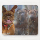 Search for mastiff mousepads Pet