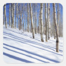 Search for remote stickers Landscape