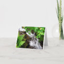 Search for creek cards Stream