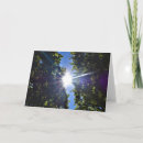 Search for sunlight cards Summer
