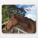 Search for horse mousepads Pet