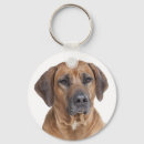 Search for rhodesian ridgeback dog key rings Puppy
