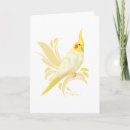 Search for australian bird cards Parrots
