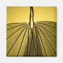 Search for vein magnets Botanical