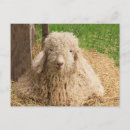 Search for adorable kid postcards Baby