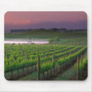 Search for distant mousepads Landscape