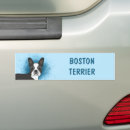 Search for boston terrier bumper stickers Pet