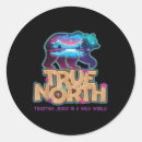 Search for the true north stickers Funny