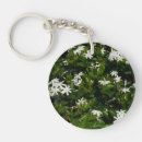 Search for jasmine flowers key rings Nature