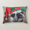 Search for pug decor Pets