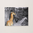 Search for giraffe puzzles Wild animals