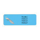 Search for peacock bird return address labels Peafowl