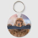Search for cocker spaniel key rings Puppy