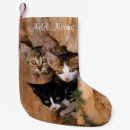Search for cat lover christmas stockings Kitten