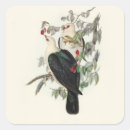 Search for white pigeon stickers Birds