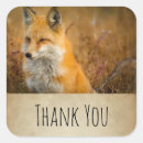 Search for wild fox stickers Nature