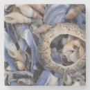 Search for abundant coasters Colour image
