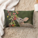 Search for cottontail cushions Bunny