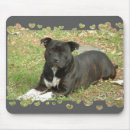 Search for bull dog mousepads Canine