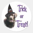 Search for chocolate lab stickers Dog