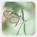 Search for clearing stickers Butterfly