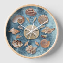 Search for seashell clocks Coral