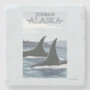 Search for whales coasters Orca