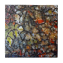 Search for fossil tiles Black