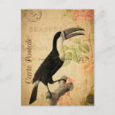 Search for toucans postcards Vintage