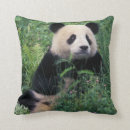Search for giant panda cushions Asia