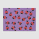 Search for ladybird tissue paper Ladybug
