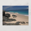 Search for fregate Seychelles