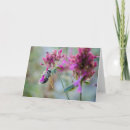 Search for pollen cards Nature
