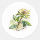 Search for native plants stickers Gardening