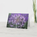 Search for allium cards Flower