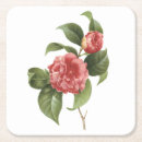 Search for common coasters Flora