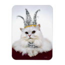 Search for humor adult magnets Cat