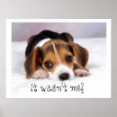 Search for sweet dog art Animal