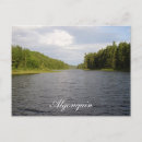 Search for algonquin Nature