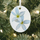Search for frangipani christmas tree decorations Hawaii