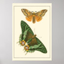 Search for bordered posters Nature