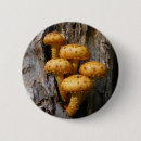 Search for fungus badges Forest