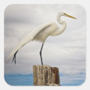 Search for us states stickers Bird