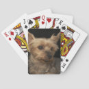 Search for right photography Dogs
