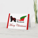 Search for newfoundland christmas cards Newfy