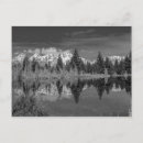Search for black snake cards Wyoming