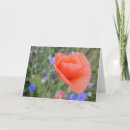 Search for rot cards Heart