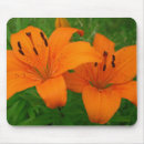 Search for lilium mousepads Lily