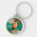 Search for perch rounded key rings Wildlife