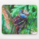 Search for dragonfly mousepads Insect